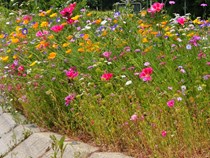 © Tourismusgruppe Abtsgmünd